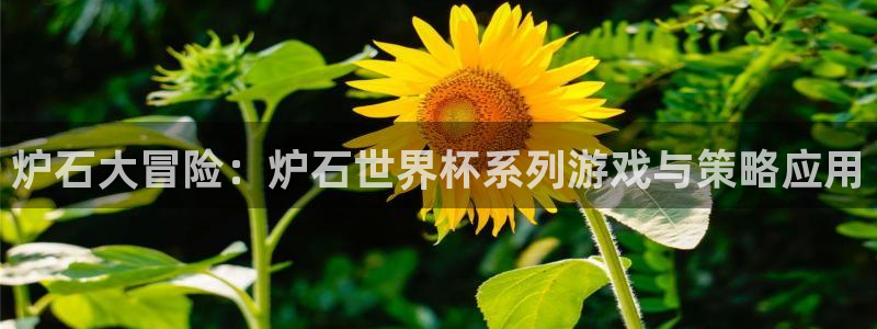 世界杯预选赛欧洲赛区积分榜：炉石大冒险：炉石世界杯系列游戏与策略应用