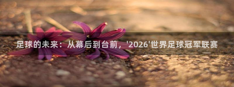世界杯赛程表：足球的未来：从幕后到台前，\'2026\'世界足球冠军联赛