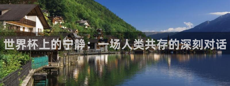 今天所有足球赛程表：世界杯上的宁静：一场人类共存的深刻对话
