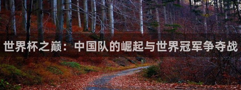 亚洲杯比赛直播：世界杯之巅：中国队的崛起与世界冠军争夺战