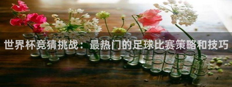 世界杯直播平台：世界杯竞猜挑战：最热门的足球比赛策略和技巧