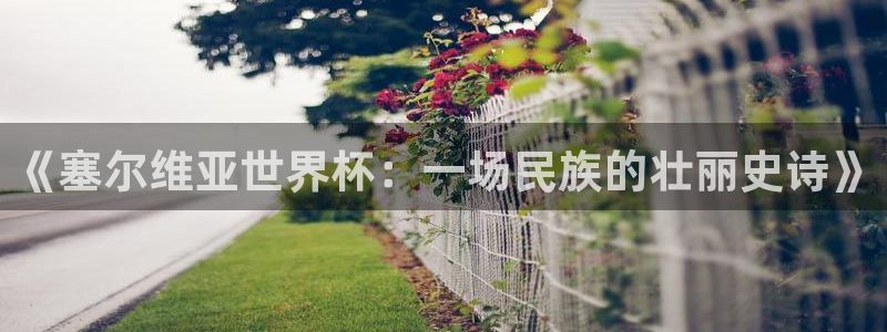 2026世界杯：《塞尔维亚世界杯：一场民族的壮丽史诗》