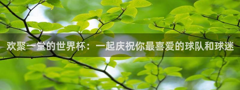 世俱杯直播：欢聚一堂的世界杯：一起庆祝你最喜爱的球队和球迷