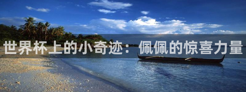 世界杯2026比赛时间表：世界杯上的小奇迹：佩佩的惊喜力量