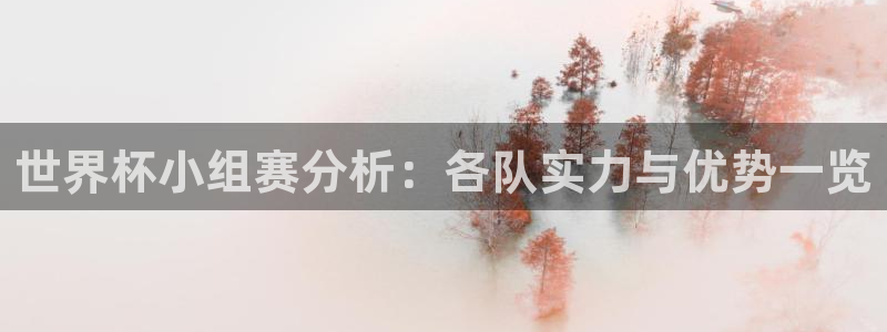 2026世界杯对阵图：世界杯小组赛分析：各队实力与优势一览