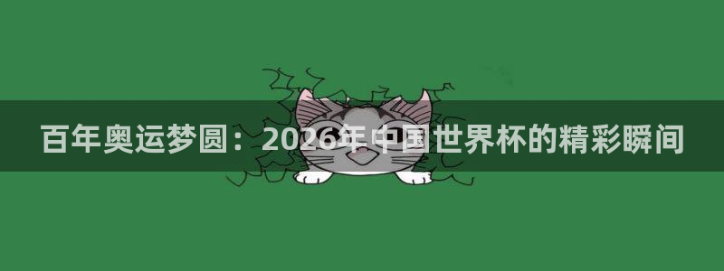 预选赛世界杯：百年奥运梦圆：2026年中国世界杯的精彩瞬间