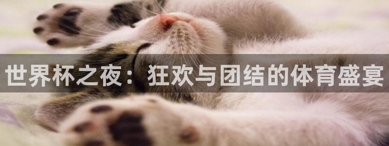 世界杯比赛时间：世界杯之夜：狂欢与团结的体育盛宴