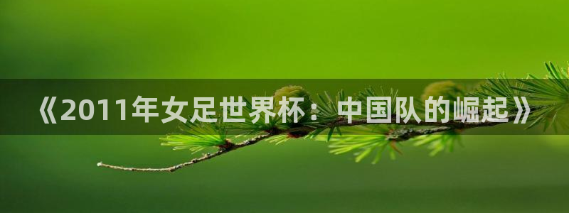 世界杯预选赛亚洲区赛程：《2011年女足世界杯：中国队的崛起》