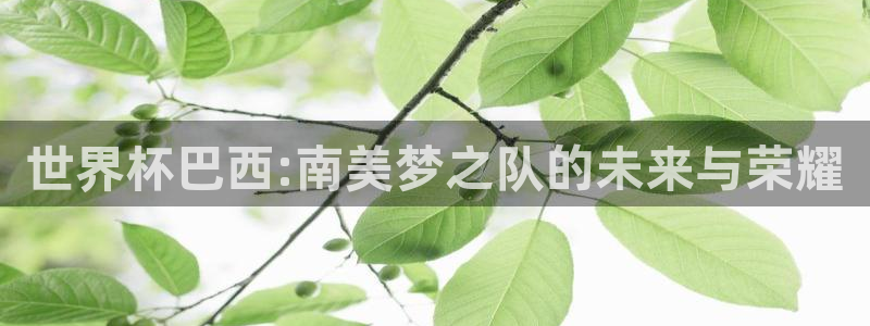 世预赛欧洲赛程表：世界杯巴西:南美梦之队的未来与荣耀
