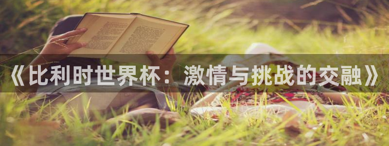 世界杯赛程2026：《比利时世界杯：激情与挑战的交融》