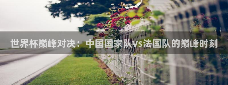 足球世界杯赛程：世界杯巅峰对决：中国国家队vs法国队的巅峰时刻