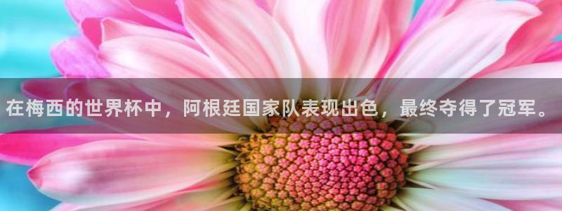 世界杯对阵表：在梅西的世界杯中，阿根廷国家队表现出色，最终夺得了冠军。