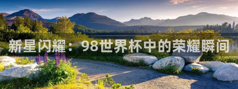 英足总杯直播：新星闪耀：98世界杯中的荣耀瞬间