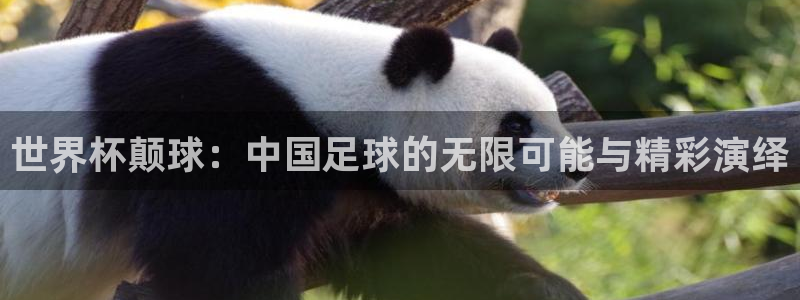 2026 世界杯：世界杯颠球：中国足球的无限可能与精彩演绎